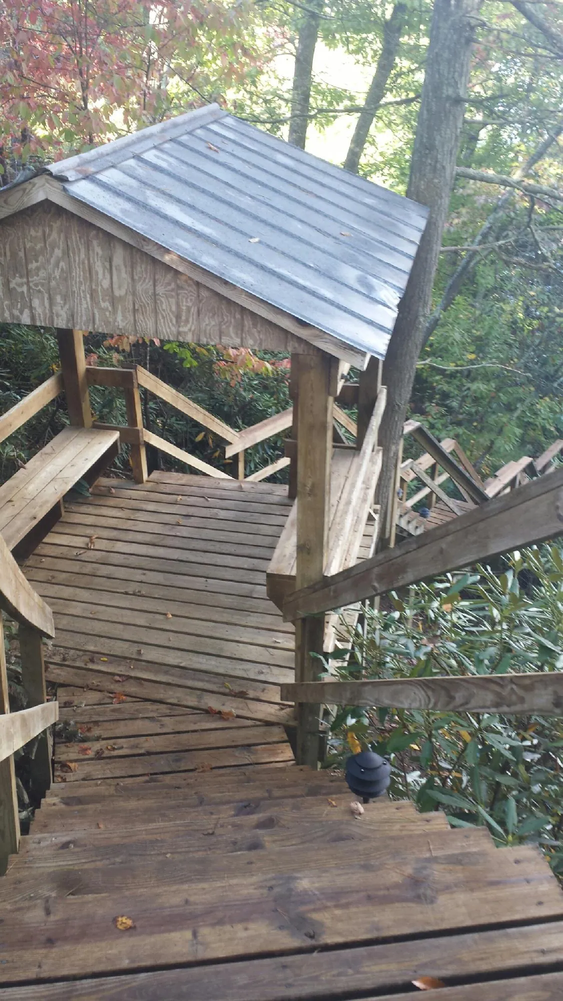 Metal roofed shelter over wooden steps on a wooded walkway — Skylight Repair & Installation work by our crew in Pearsall